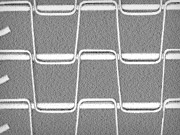 Flat Wire Belting